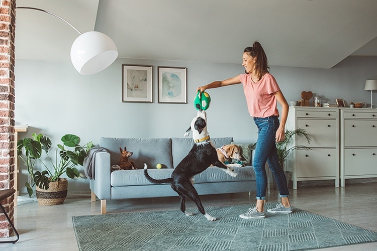 woman playing with her dog in the living room